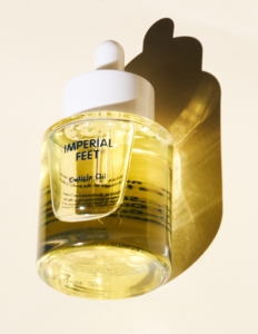 558084748 122198477342369767 7136556267070250293 n