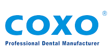 Coxo Logo