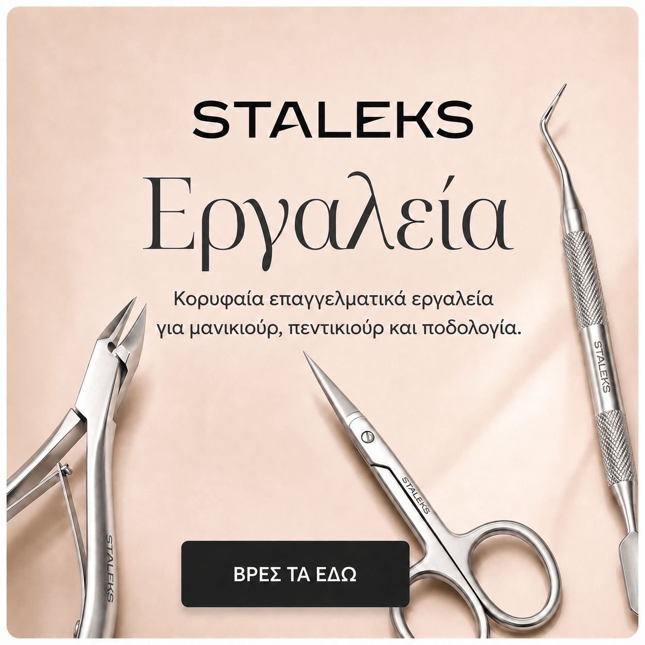 staleks banner